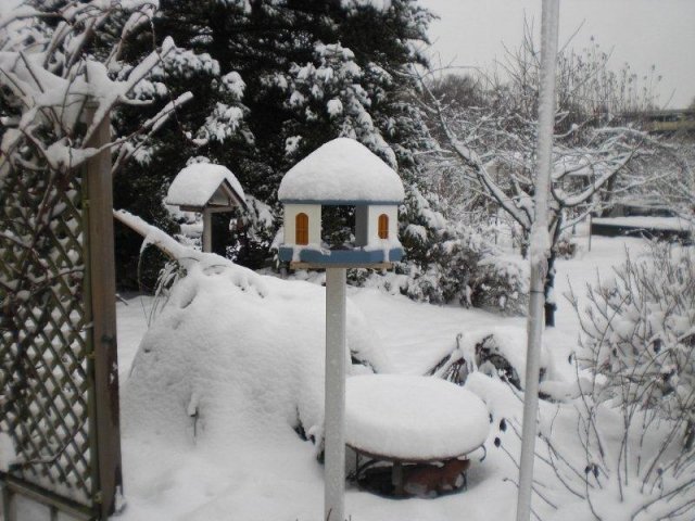 Winterzeit: Vogelhäuschen