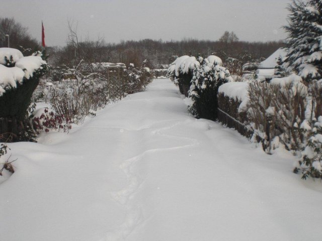 Winterzeit: Verschneiter Weg