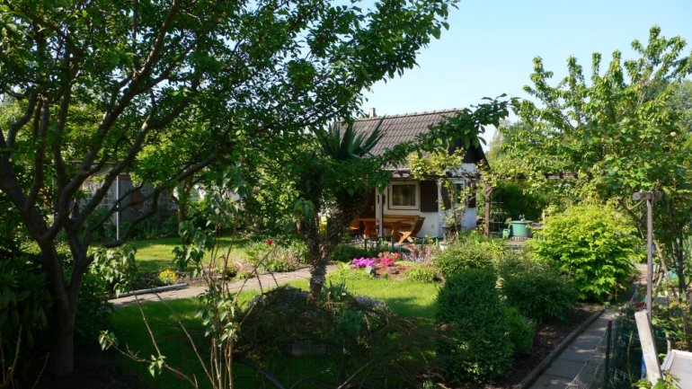 Gewachsener Garten mit Laube